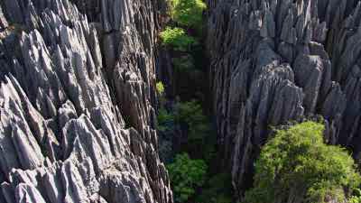 Le Parc National des  Tsingy de Bemaraha