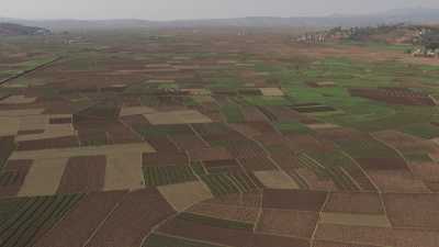 Champs et fermes malgaches
