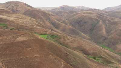 Champs et collines
