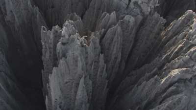 Le Parc National des  Tsingy de Bemaraha