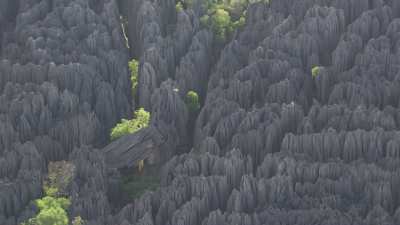 Le Parc National des  Tsingy de Bemaraha