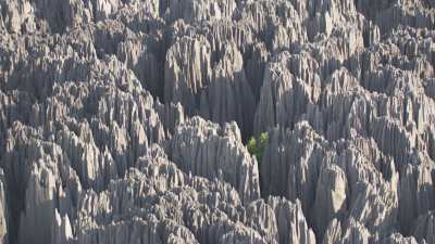 Le Parc National des  Tsingy de Bemaraha