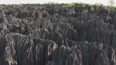 Le Parc National des  Tsingy de Bemaraha