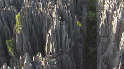 Le Parc National des  Tsingy de Bemaraha