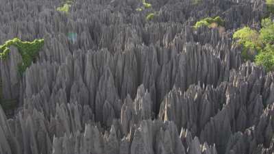 Le Parc National des  Tsingy de Bemaraha