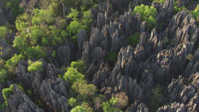 Le Parc National des  Tsingy de Bemaraha