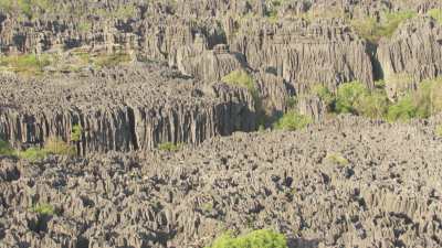 Le Parc National des  Tsingy de Bemaraha