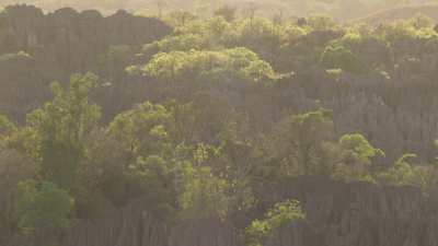Le Parc National des  Tsingy de Bemaraha
