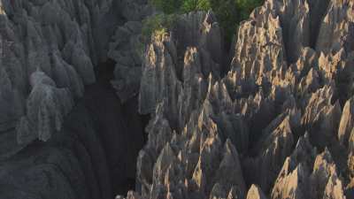 Le Parc National des  Tsingy de Bemaraha