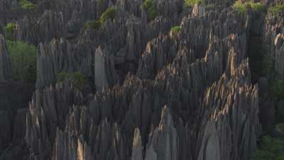 Le Parc National des  Tsingy de Bemaraha