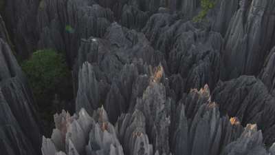 Le Parc National des  Tsingy de Bemaraha