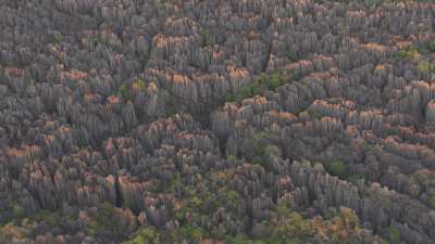 Le Parc National des  Tsingy de Bemaraha