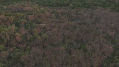 Le Parc National des  Tsingy de Bemaraha