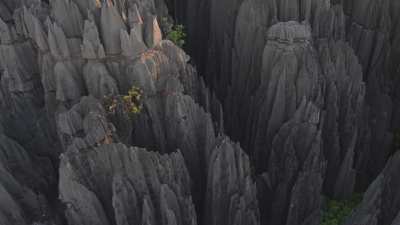 Le Parc National des  Tsingy de Bemaraha