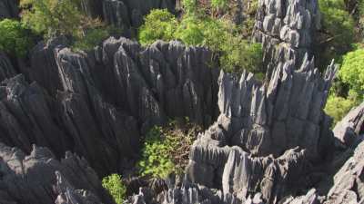 Le Parc National des  Tsingy de Bemaraha