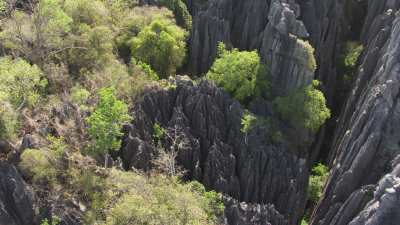Le Parc National des  Tsingy de Bemaraha