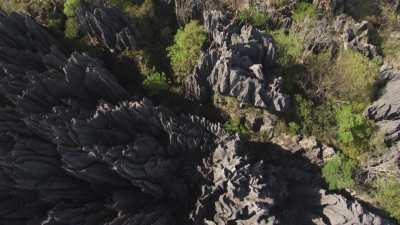 Le Parc National des  Tsingy de Bemaraha