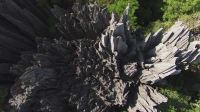 Le Parc National des  Tsingy de Bemaraha