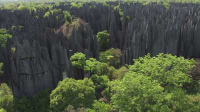 Le Parc National des  Tsingy de Bemaraha