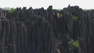 Le Parc National des  Tsingy de Bemaraha