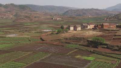 Paysage rural agricole