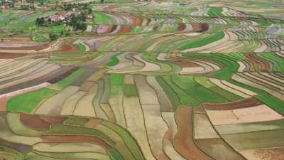 Paysages de champs cultivés, villages