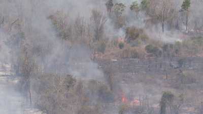 Déforestation par le feu