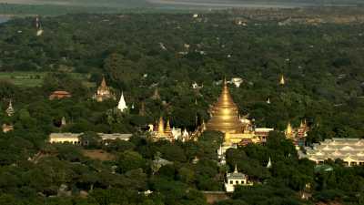 Les dômes dorés des  temples de Bagan dans la forêt