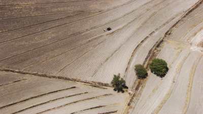 Cultivateur près de Tehuacan