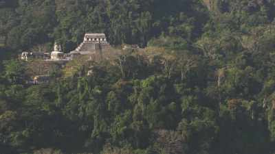 Le site maya de Palenque dans la forêt et ses temples
