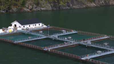 Surveillance des bassins de pisciculture