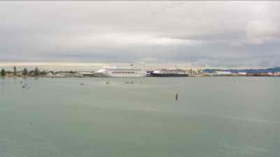 Nettoyage des eaux du port