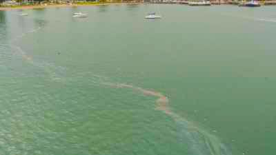 Trainées d'huile dans les eaux du port