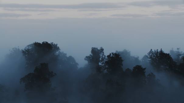 Paysages de Nouvelle-Zélande