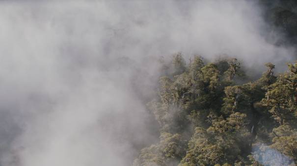 Paysages de Nouvelle-Zélande