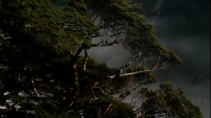 Paysages de Nouvelle-Zélande