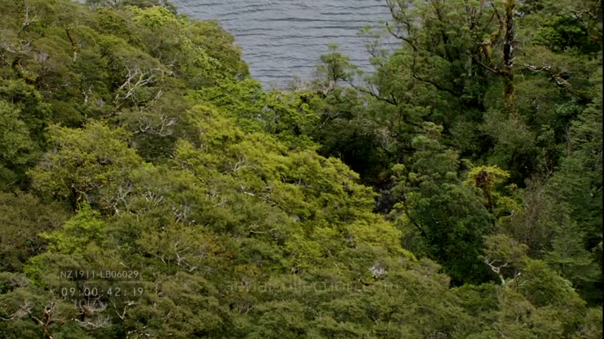 Paysages de Nouvelle-Zélande