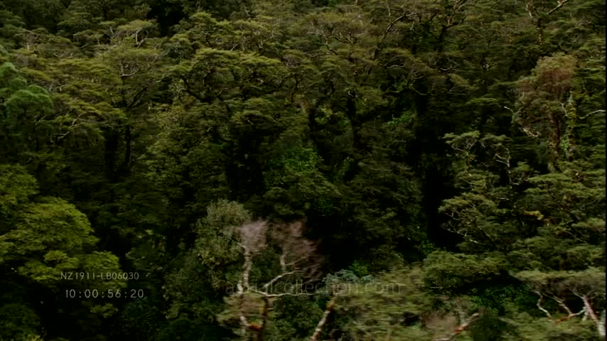 Paysages de Nouvelle-Zélande
