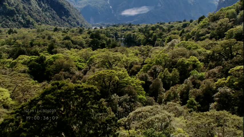 Paysages de Nouvelle-Zélande
