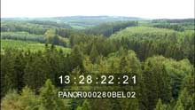 La forêt des Hautes-Fagnes