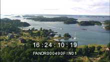Gullkrona