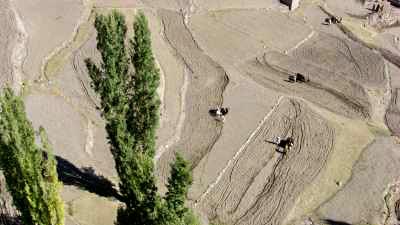 Plans serrés de cultivateurs