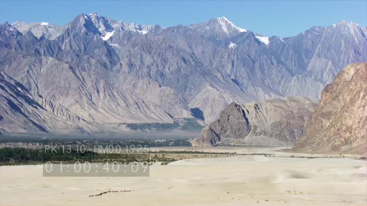 Caravane de Yak au dessus de l'Indus