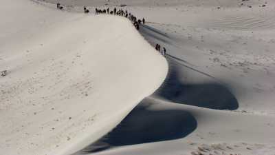 Caravane de Yak au dessus de l'Indus