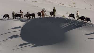 Caravane de Yak au dessus de l'Indus