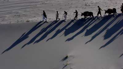 Caravane de Yak au dessus de l'Indus