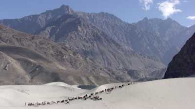 Caravane de Yak au dessus de l'Indus