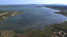 Etang de Bages