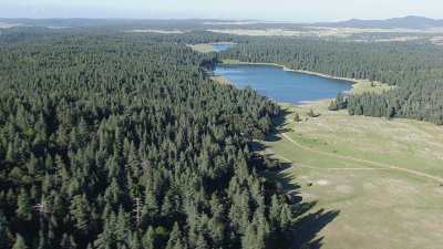 Parc National d'ifrane, forêts et lacs
