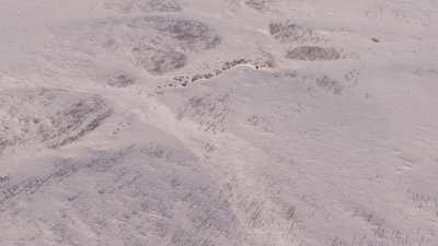 Transhumance des rennes guidés par les nomades Nénètses